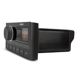 Fusion Apollo MS-RA670 Marine Entertainment System